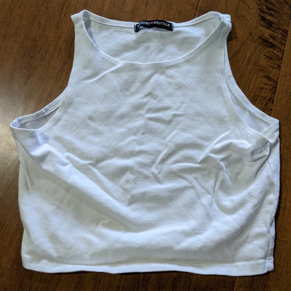 Brandy Melville crop top